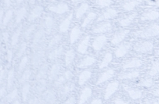 557280-97315/001