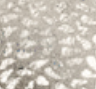 557280-97316/013