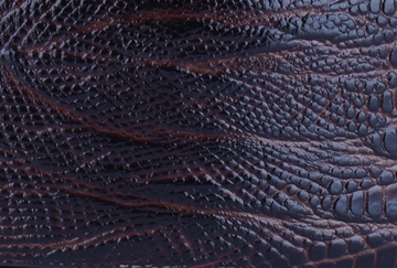 8-0007 Brown