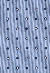 BLUE WHITE SQUARE
