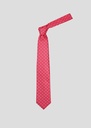 MARCO LAURENTI 10-1137 Tie S-24