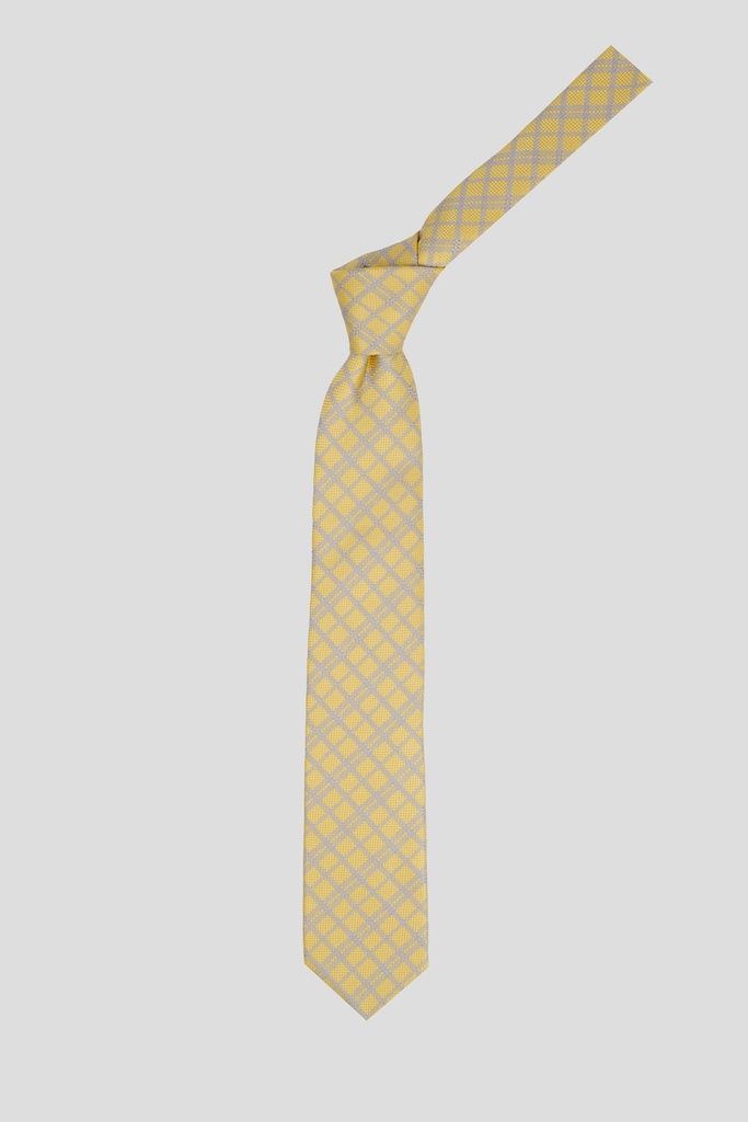 PIERRRE CARDIN Tie 10-0090 S-24