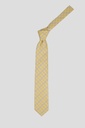 PIERRRE CARDIN Tie 10-0090 S-24