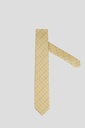 PIERRRE CARDIN Tie 10-0090 S-24