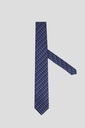 CACHREL Tie 10-0009