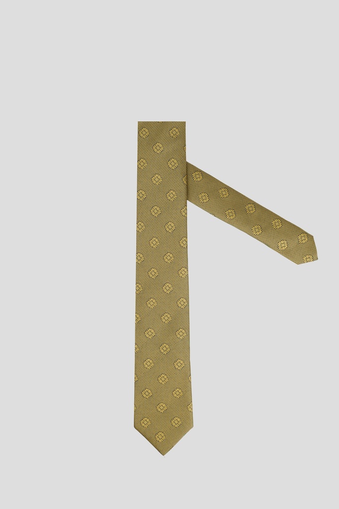 PIERRRE CARDIN Tie 10-0027