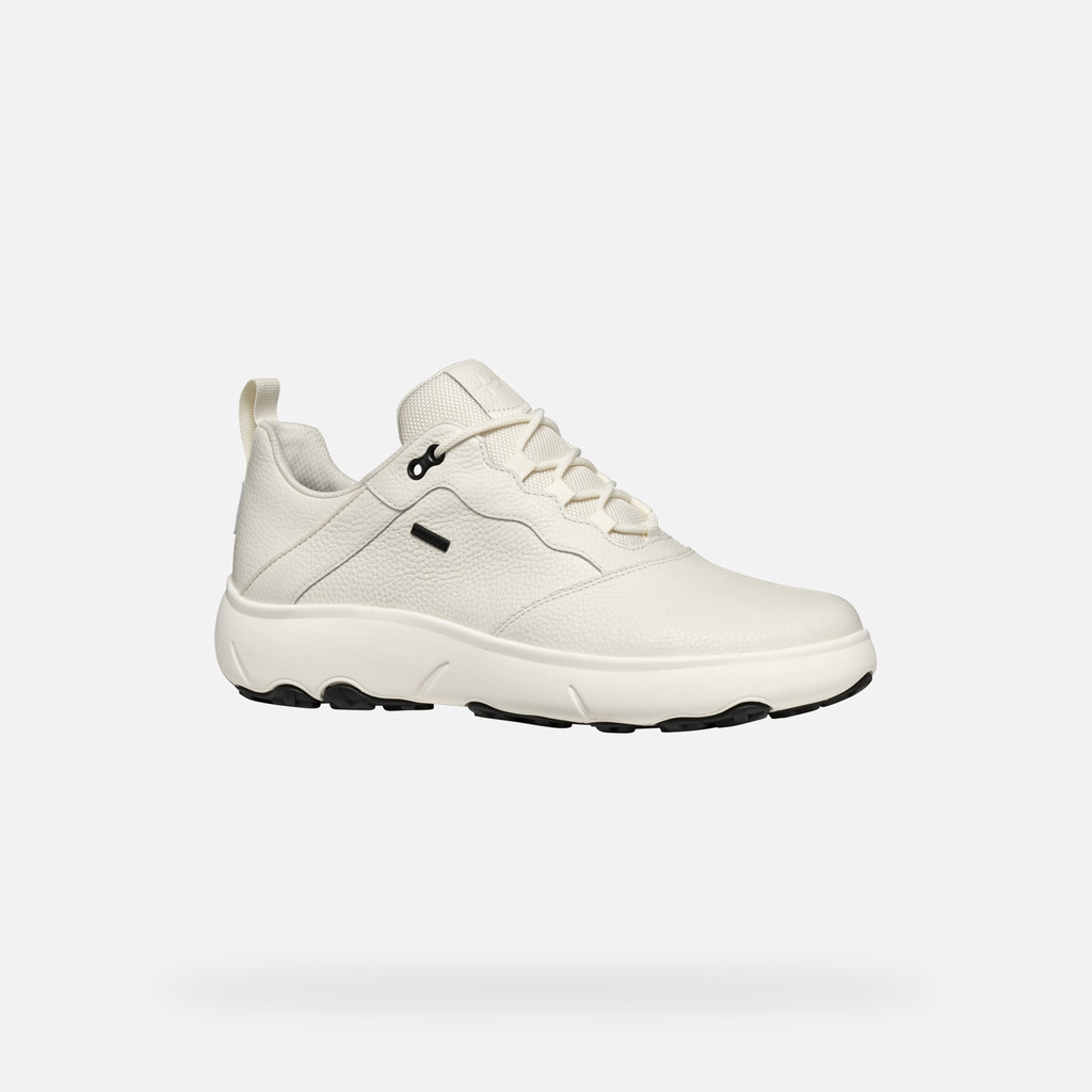 GEOX Shoes U46HFA NEBULA