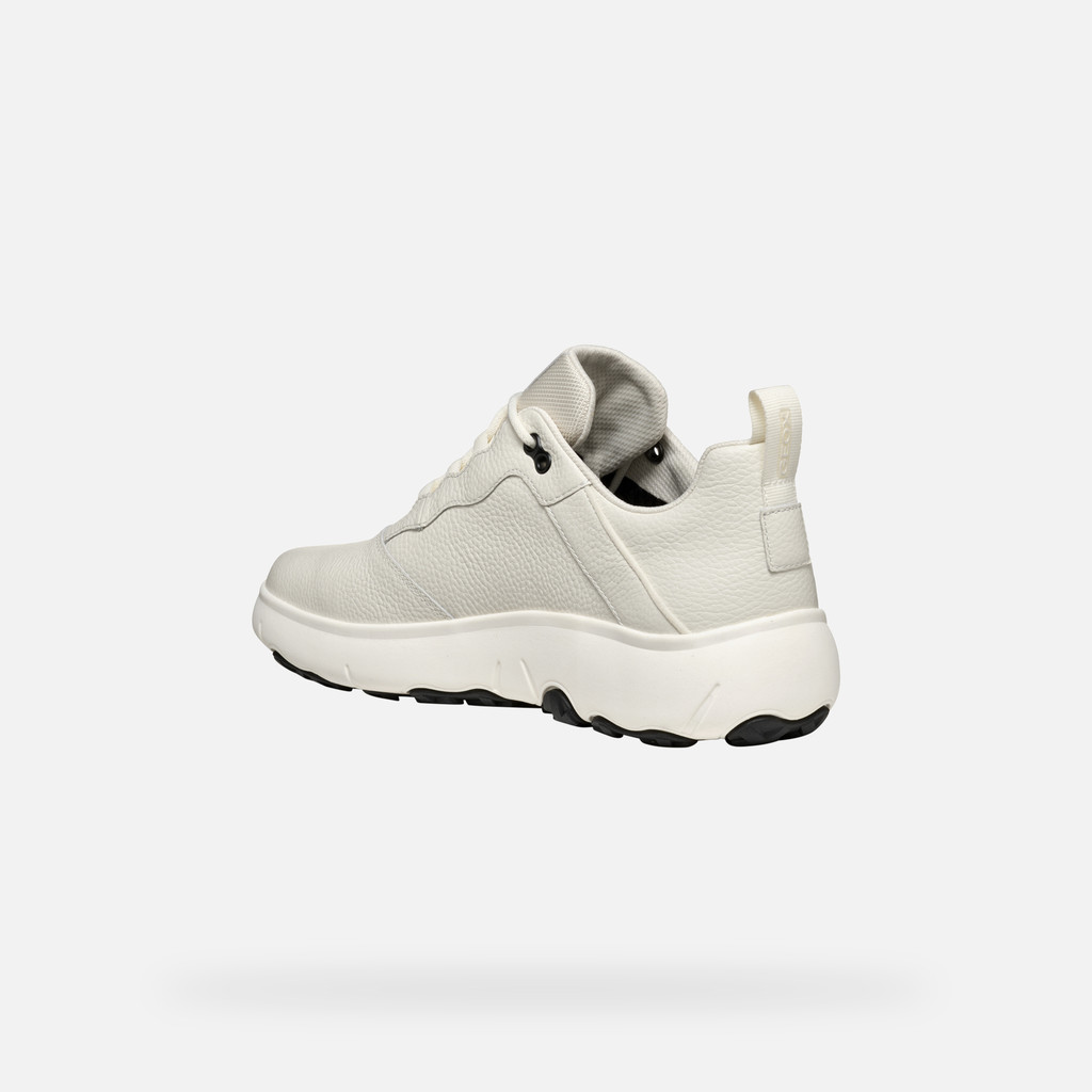 GEOX Shoes U46HFA NEBULA