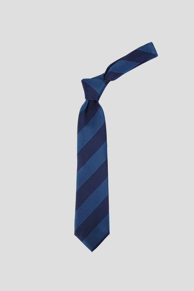 GIORGIO MARIANI Tie 10-10120