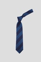 GIORGIO MARIANI Tie 10-10120