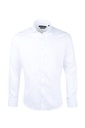 PAVAROTTI Shirt MASSINA 554/1 SLIM W-24