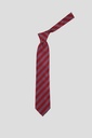 Marco Lariani Tie 16122024014