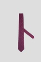 Marco Lariani Tie 16122024045