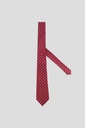 Marco Lariani Tie 16122024056
