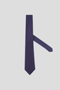 Marco Lariani Tie 16122024077