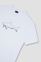 Paul&Shark Tshirt 25411078 SS25