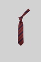 PIERRE CARDIN Tie PC - 15 S-25