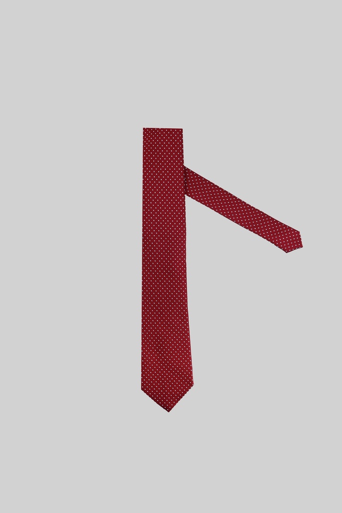 MARCO LARIANI Tie 16122024140