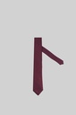 MARCO LARIANI Tie 16122024138