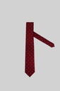 MARCO LARIANI Tie 16122024133