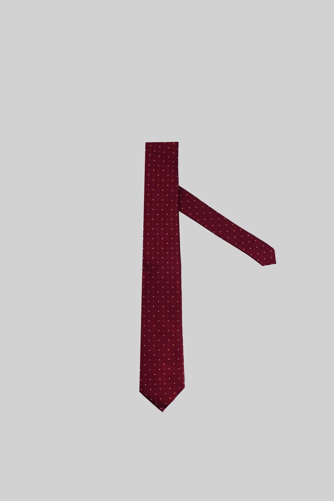 MARCO LARIANI Tie 16122024083
