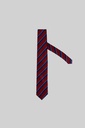 MARCO LARIANI Tie 16122024111
