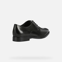 GEOX Shoes HAMPSTEAD U16E3B