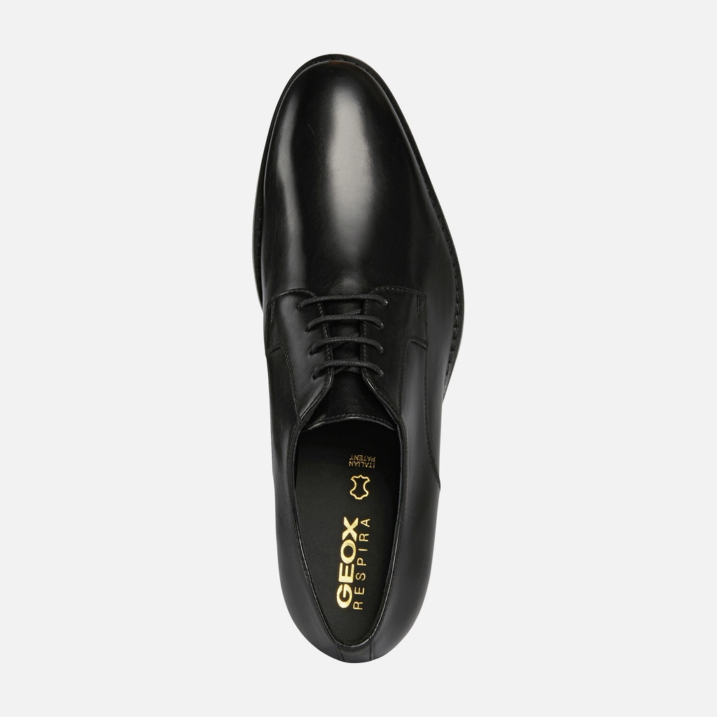 GEOX Shoes HAMPSTEAD U16E3B