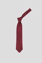 Marco Lariani Tie 16122024073