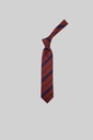 PIERRE CARDIN Tie PC - 15 S-25