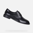 GEOX Shoes HAMPSTEAD