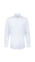 PAVOROTI  Shirt Brimstone 2603088 Classic LONG Cla