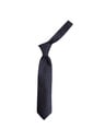 CACHAREL T12-10 Tie