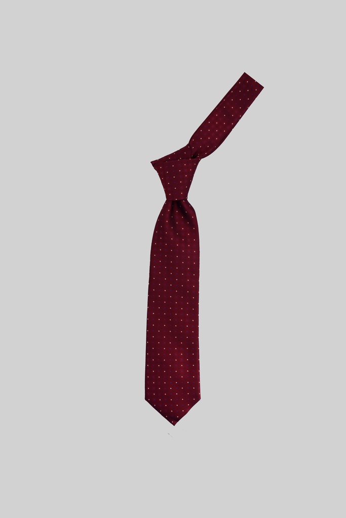 MARCO LARIANI Tie 16122024083