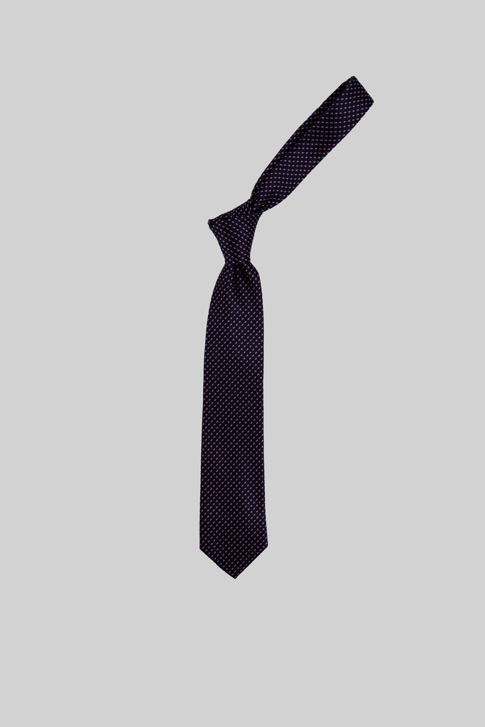 MARCO LARIANI Tie 16122024091