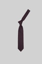 MARCO LARIANI Tie 16122024094