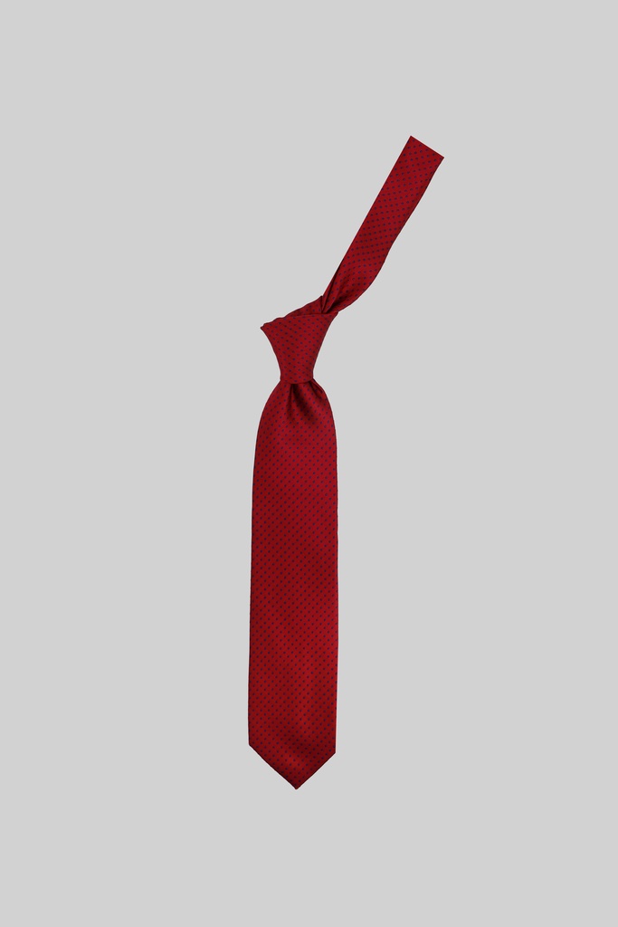 MARCO LARIANI Tie 16122024099