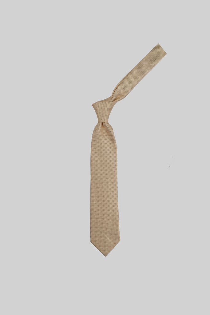 MARCO LARIANI Tie 16122024102