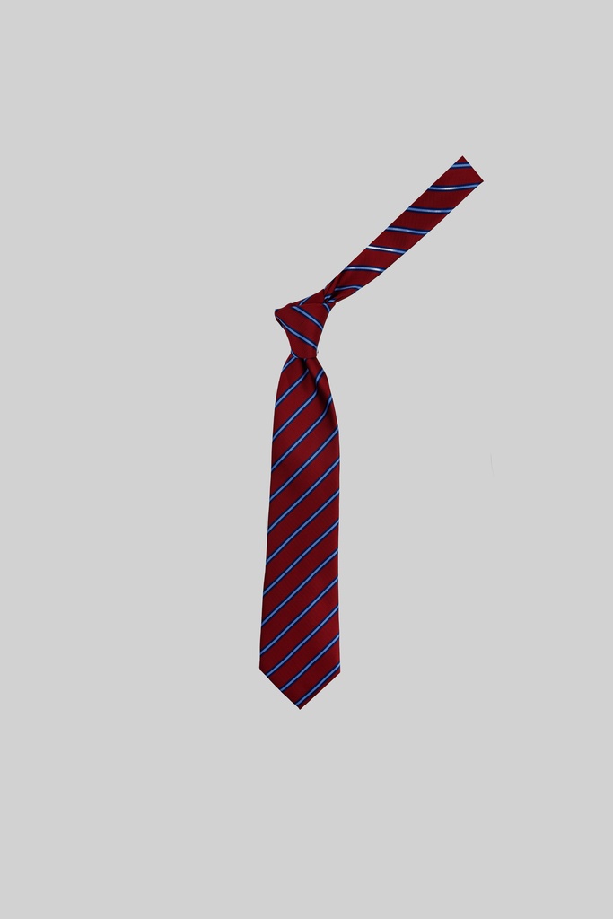 MARCO LARIANI Tie 16122024104