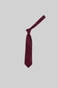 MARCO LARIANI Tie 16122024104