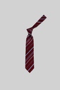 MARCO LARIANI Tie 16122024105