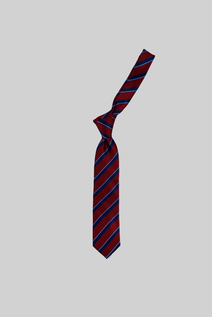 MARCO LARIANI Tie 16122024111