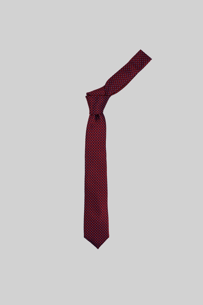 MARCO LARIANI Tie 16122024119