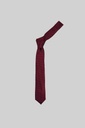 MARCO LARIANI Tie 16122024119
