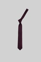 MARCO LARIANI Tie 16122024129