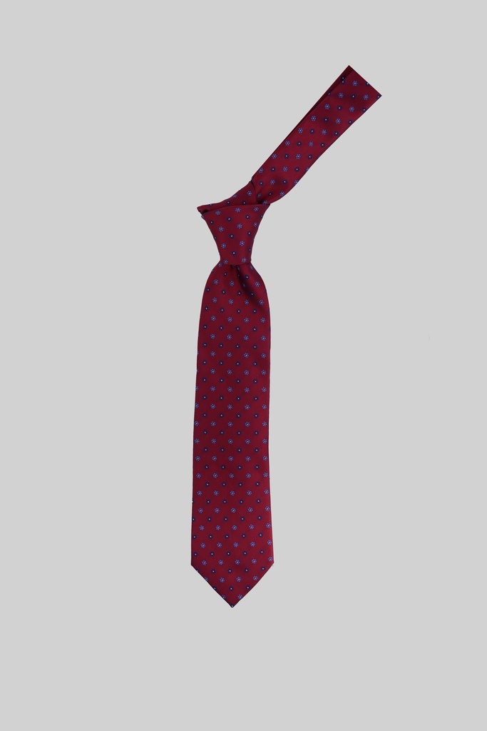 MARCO LARIANI Tie 16122024130