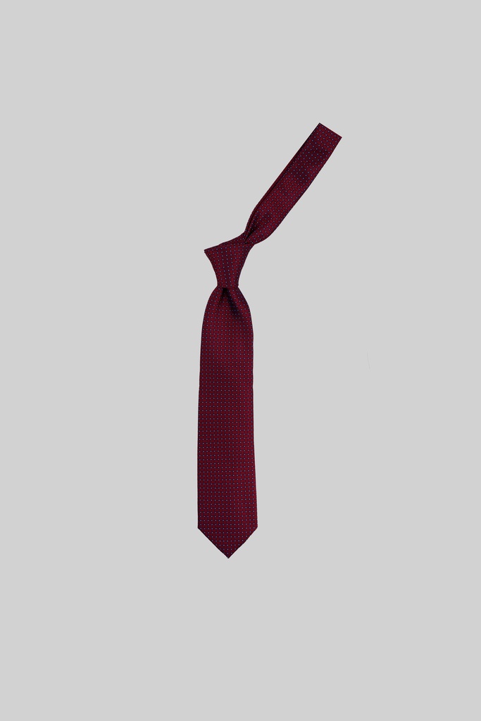 MARCO LARIANI Tie 16122024131