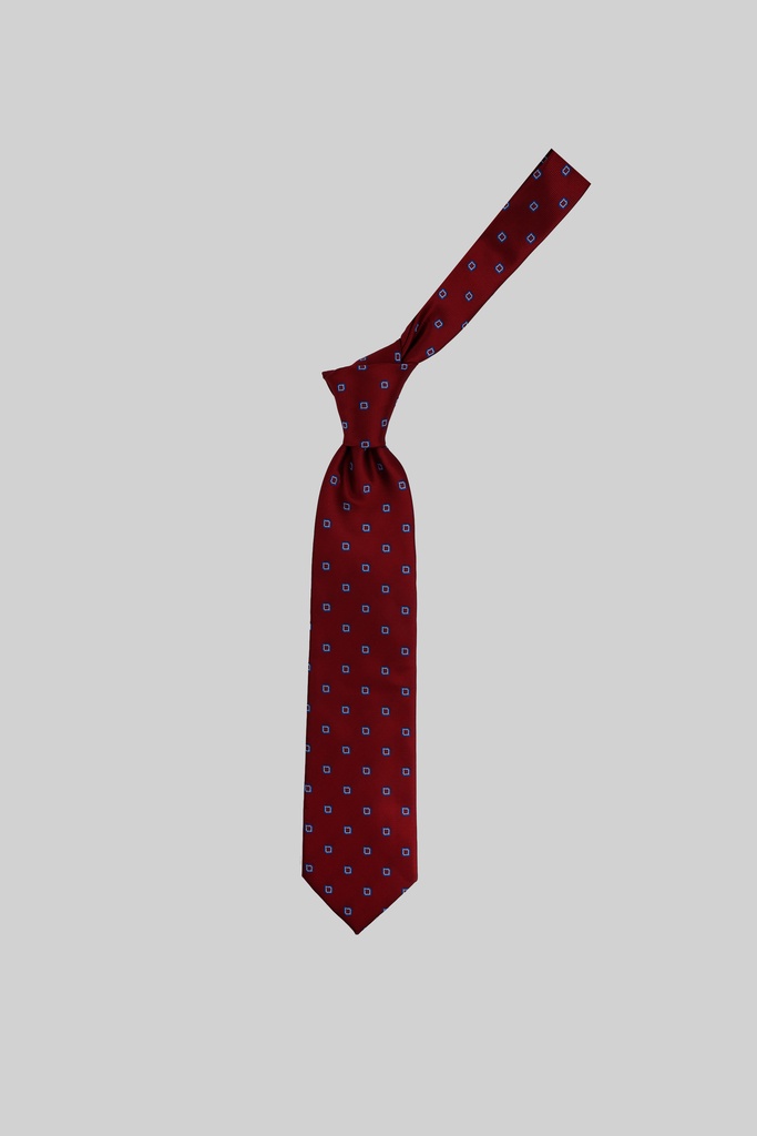 MARCO LARIANI Tie 16122024133