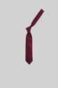 MARCO LARIANI Tie 16122024134