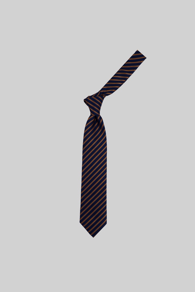 MARCO LARIANI Tie 16122024137